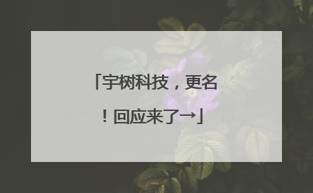 宇树科技，更名！回应来了→